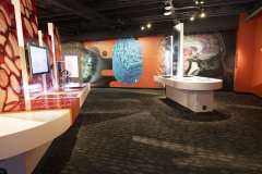 May 21, 2024: Sen. Miller participated tonight in a tour and opening ceremonies at the Da Vinci Science Center, a state-of-the-art, hands-on STEAM learning center in the heart of Allentown.