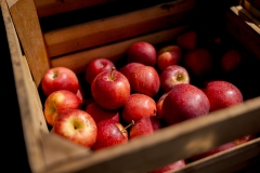 Deichman Farms
