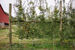 October 11, 2025: Senator Nick Miller Visited First Generation Farm: Deichman Farms