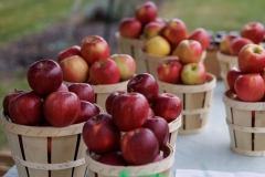 October 11, 2025: Senator Nick Miller Visited First Generation Farm: Deichman Farms.