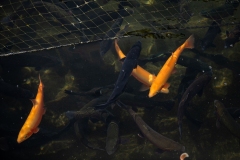 November 29, 2023: Sen. Miller Participates in Local Fish and Boat Tour