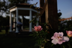 August 24, 2024: Sen. Miller and Rep. Schlossberg Join Volunteers to Paint the Gazebos at Allentown’s Malcolm W. Gross Rose Garden.