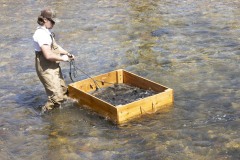 April 16, 2024: Sen. Miller joined Waterway Conservation Officers from the Fish and Boat Commission as well as local volunteers to stock hundreds of brown, brook and rainbow trout at various points along the Jordan Creek in Upper Macungie and South Whitehall townships in Lehigh County.