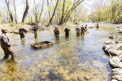 April 16, 2024: Sen. Miller joined Waterway Conservation Officers from the Fish and Boat Commission as well as local volunteers to stock hundreds of brown, brook and rainbow trout at various points along the Jordan Creek in Upper Macungie and South Whitehall townships in Lehigh County.