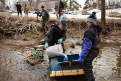 Trout Stocking