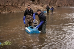 Trout Stocking