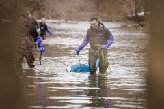 Trout Stocking