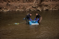 Trout Stocking