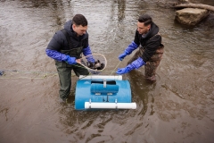 Trout Stocking
