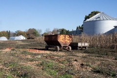 November 3, 2023: Senator Miller Tours Twin Maple Farm.
