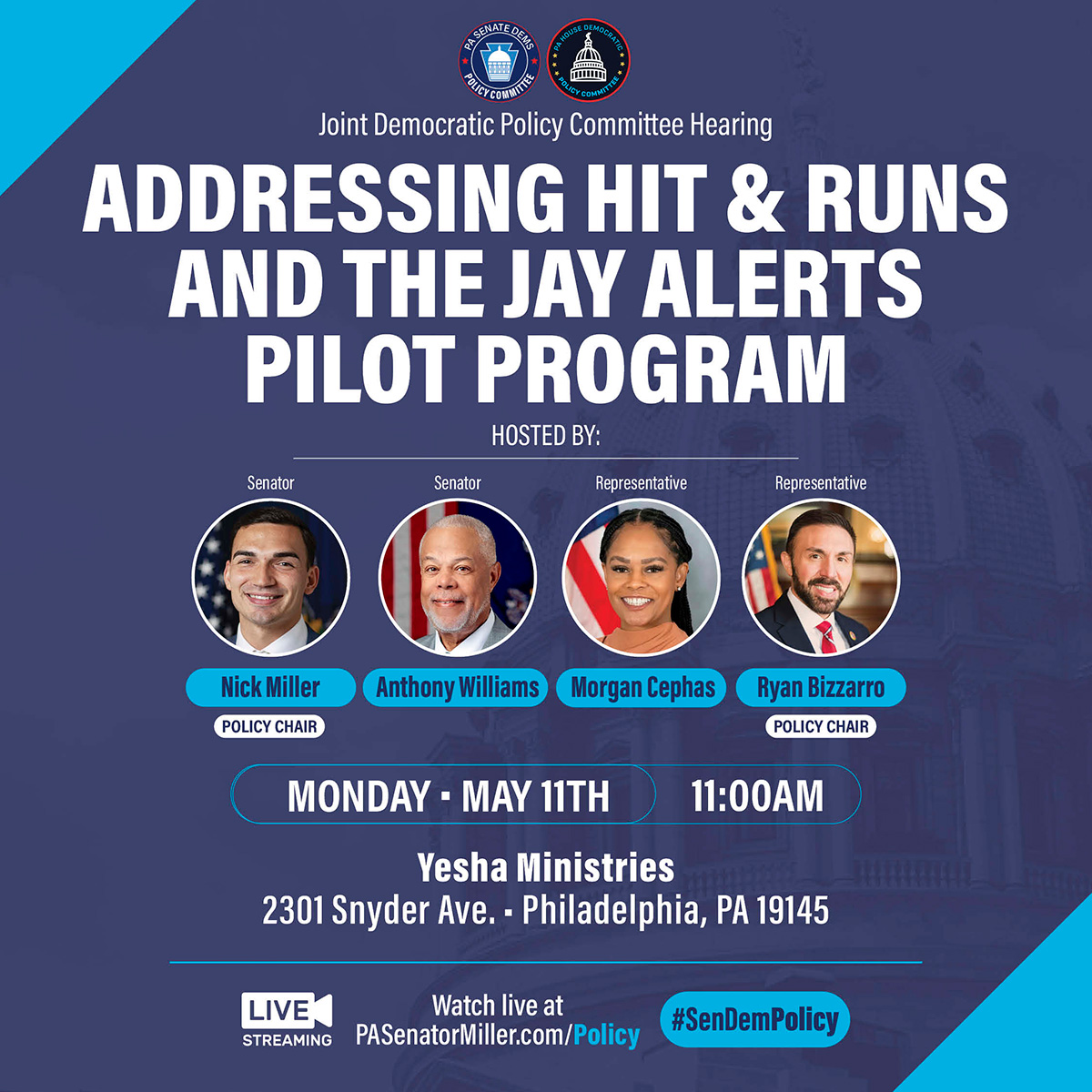Policy Hearing - Addressing Hit & Runs and the Jay Alerts Pilot Program