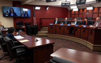 Senate Democratic Policy Committee Hearing on Lowering Your Electric Bill